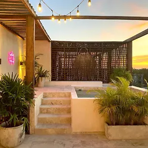 casa-tropical-penthouse-with-rooftop-private-pool.allrivieramayahotels.com/