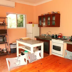 casa-gatos-suite-100.allrivieramayahotels.com/